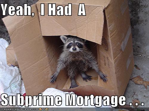 Subprime mortgage racoon